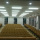 school lecture hall seating